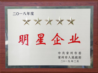 常寶股份榮獲“工業五星級企業”、“納稅金獎”等多項大獎156.png